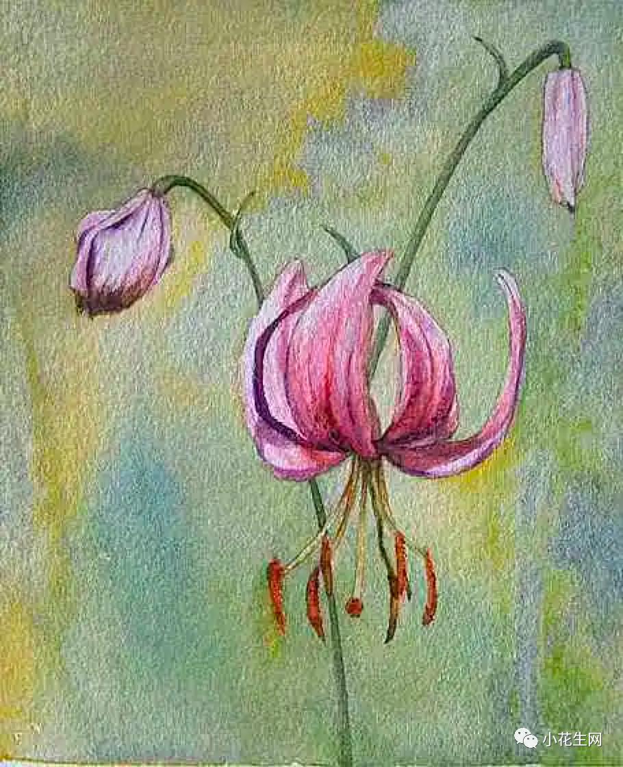 学画四年级上册美术,从零开始学绘画必备的画