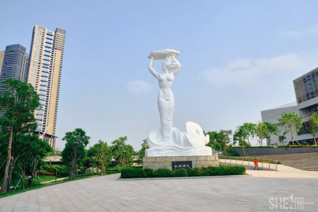 深圳蛇口前世今生,深圳蛇口有怎样的辉煌历史