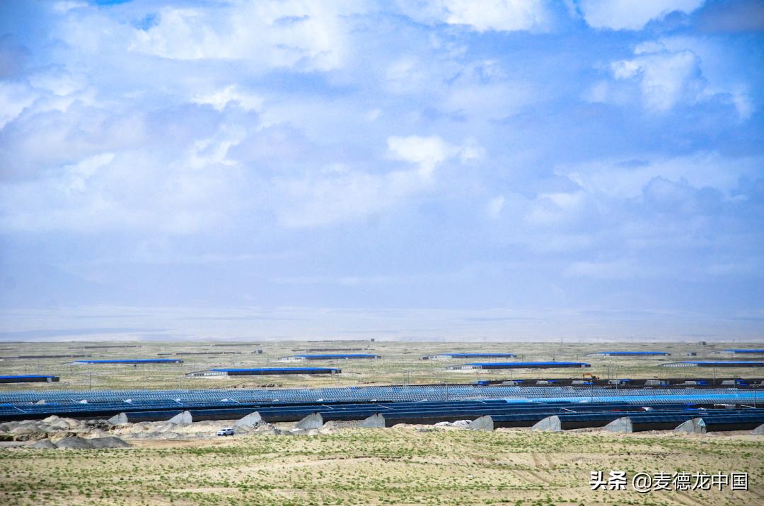 美厨课堂土豆丝,尼雅黑鸡活鸡乌鲁木齐哪里售卖