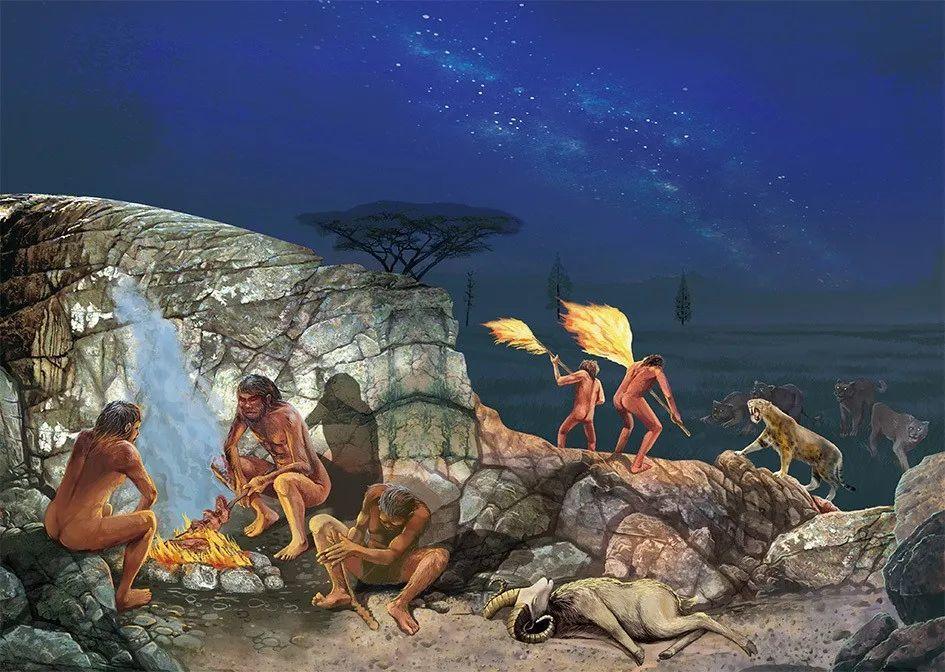 生食与熟食的利与弊有哪些,熟食比生食哪个更安全