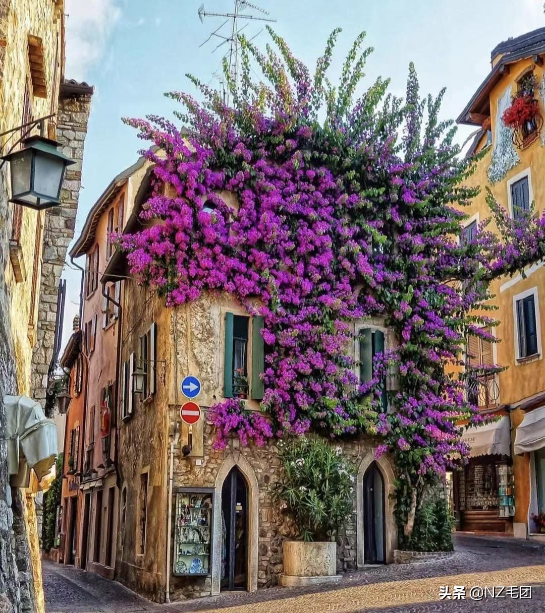 一个鸡蛋变成一座农场，小生意不知不觉也被你做大了