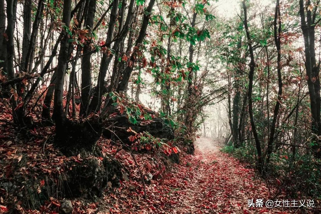 人与人之间一旦有了代沟,善变的人是怎样的