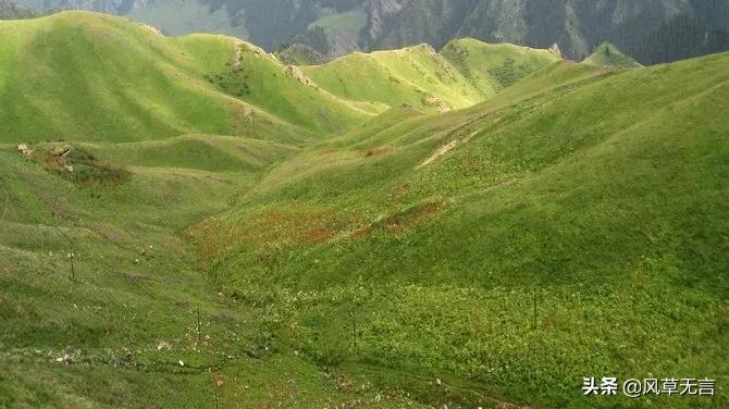 回归的日子伊犁之骑行