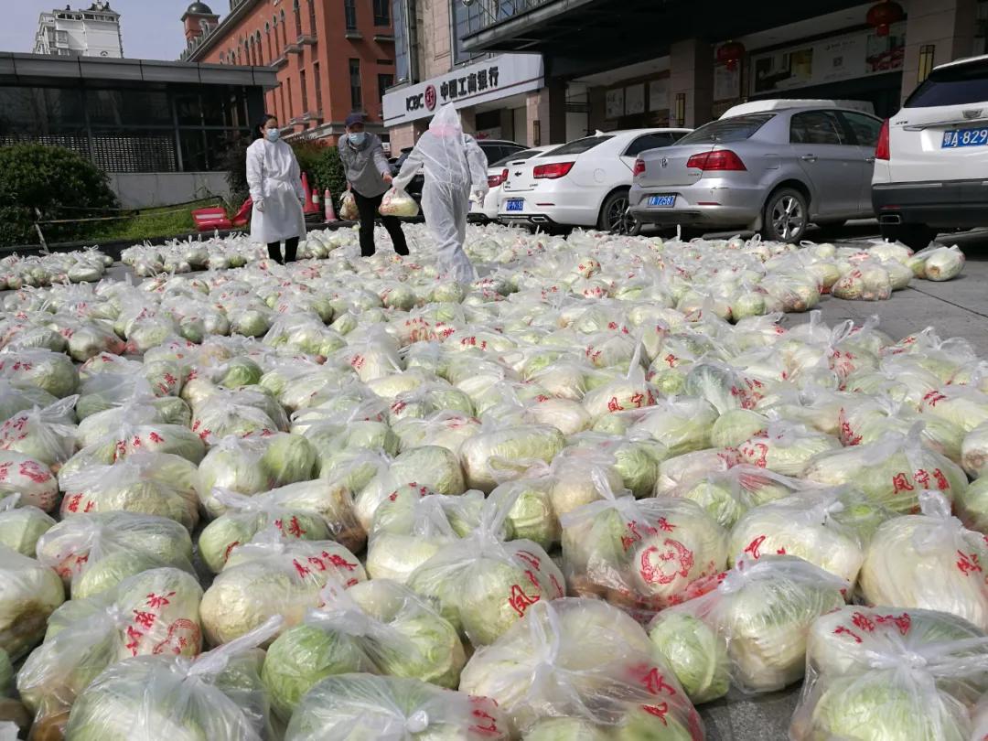 携手同行抗疫情守望相助暖人心,驻村工作队奋战抗疫一线