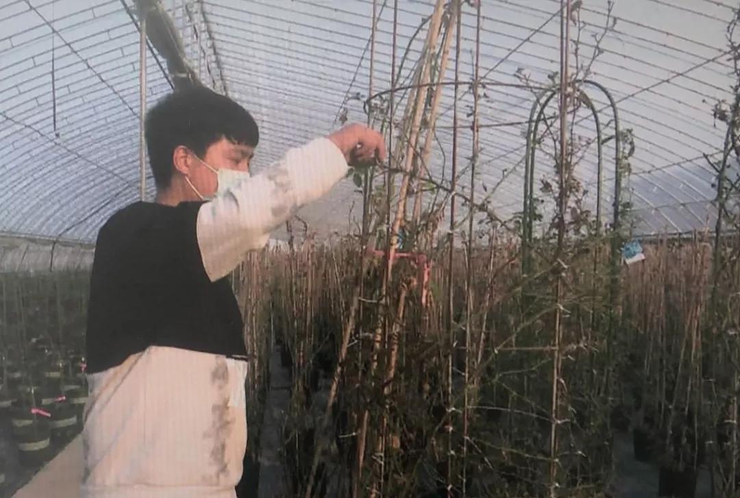 咸阳疫情防控消息今天数据,今天咸阳疫情防控最新消息