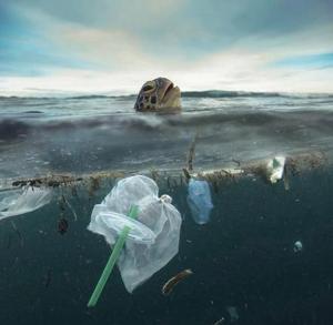 展商风采｜金贝吸管——助力环保，返璞归真