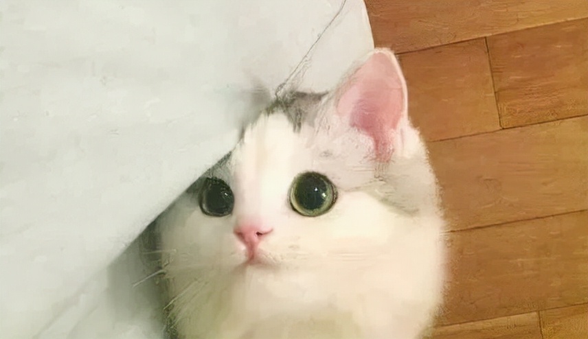 轻松祛斑根本不可能！找准原因长期坚持，才能将它逐步淡化