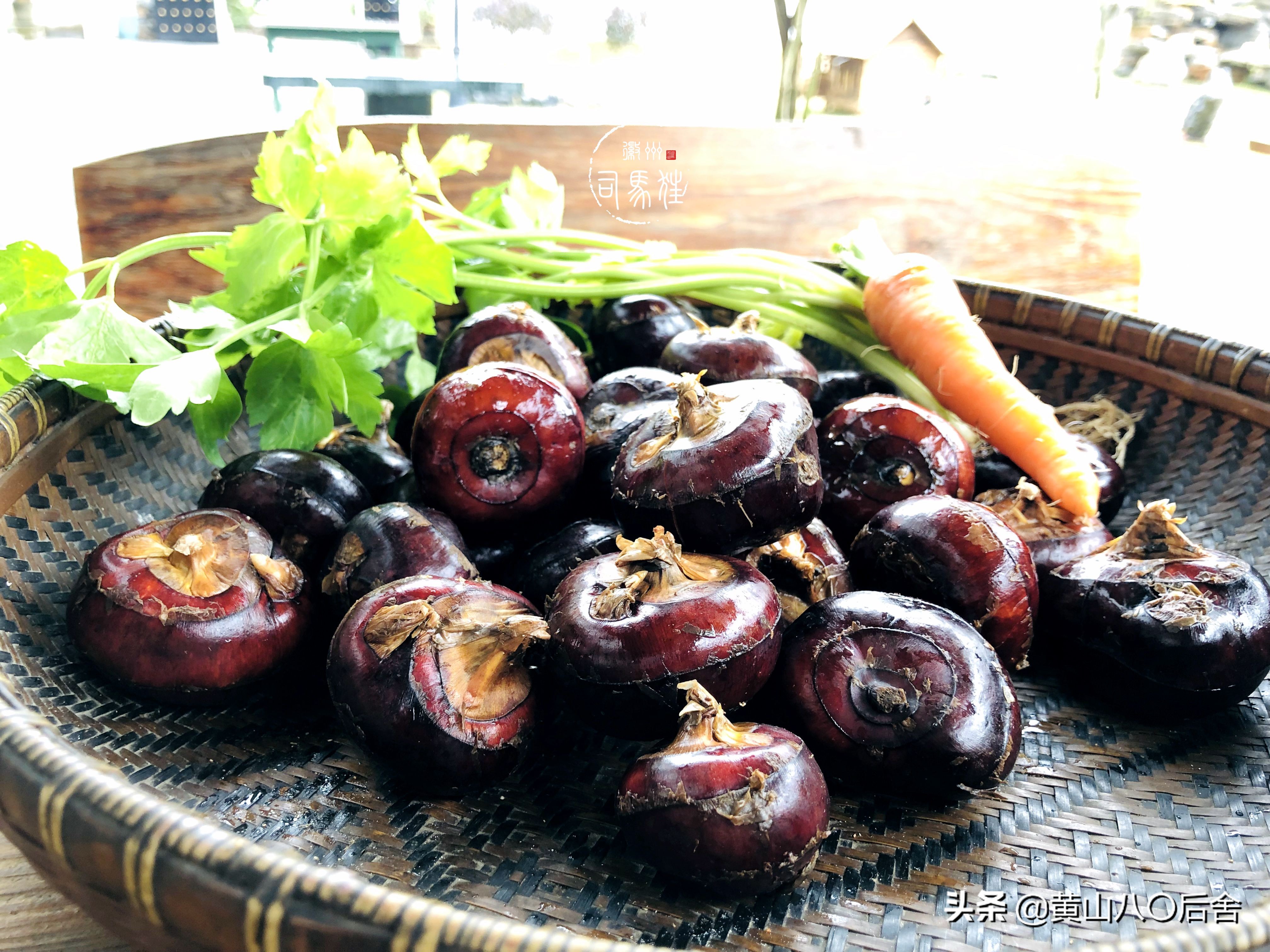 鑸屽皷涓婄殑缇庨鑽歌崰,鑸屽皷涓婄殑涓浗榛勫北姝欏幙鑽歌崰