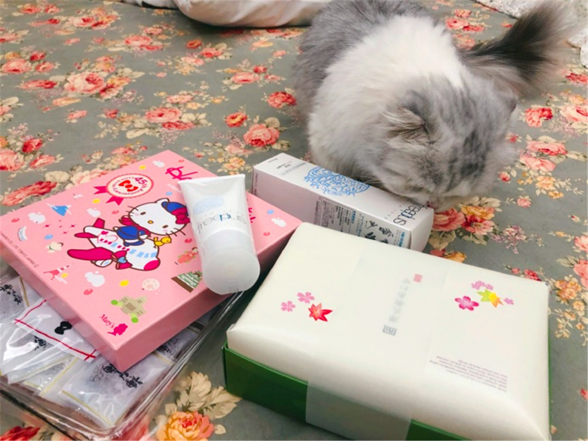 猫咪疫苗去宠物医院打靠谱吗,打疫苗辟谣