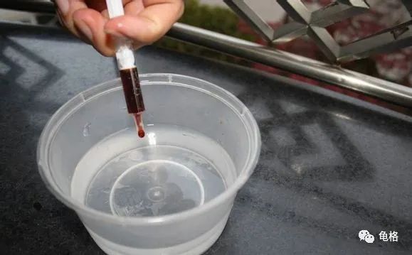 聚维酮碘溶液给乌龟治腐甲怎么用,聚维酮碘乌龟腐皮腐甲使用方法