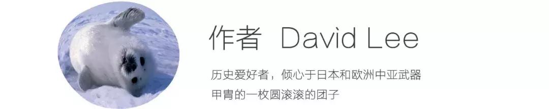 贞德用什么装备,贞德擅长骑兵吗