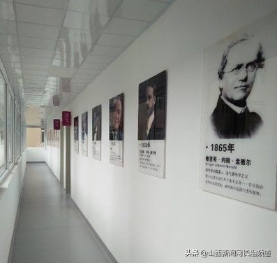 长治市妇幼保健院后勤科组织召开2019年工作总结大会暨第二十六期工作例会