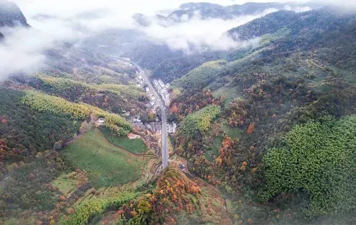金华附近的旅游民宿推荐,金华古村古镇民宿
