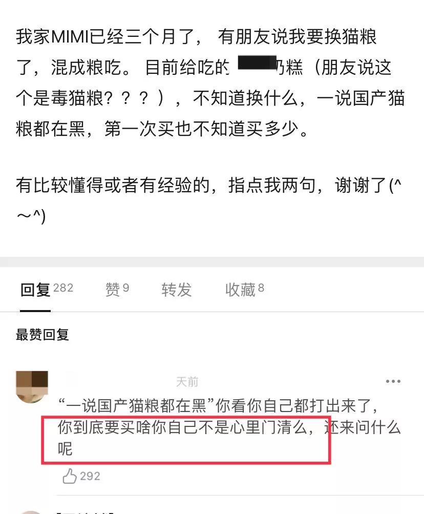 以为单身就可以自由,开始以为养猫是为了不孤单