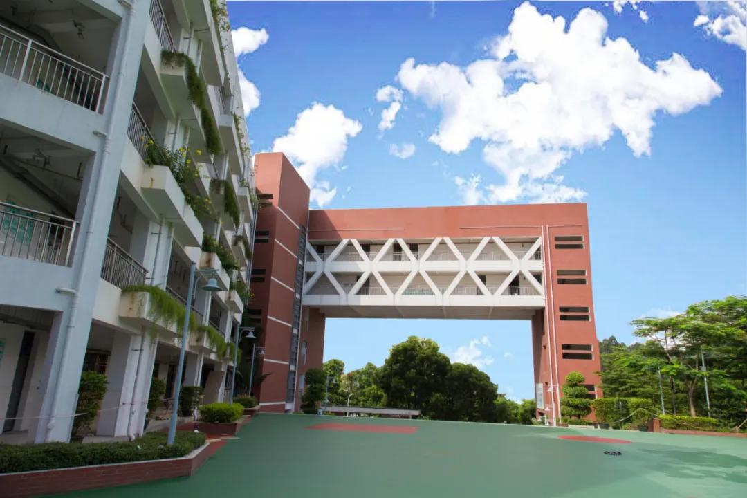 家门口的好学校,家门口的好学校视频