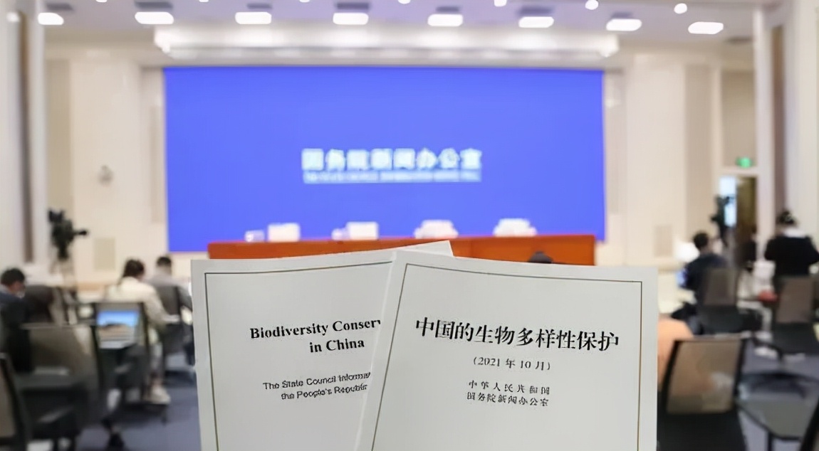 人们应该做什么来保护生物多样性,人类自身应该如何保护生物多样性