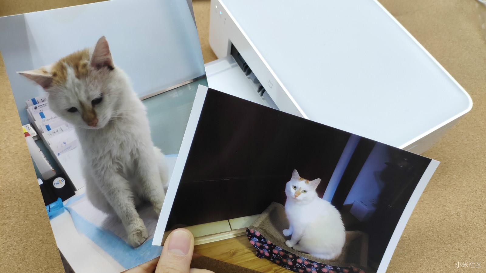 小米米家照片打印机1s特惠新装,米家打印机499和999的区别