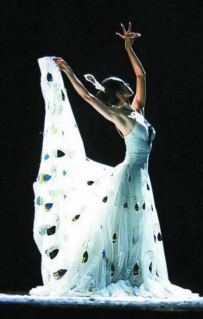 杨丽萍被嘲没孩子：你可以追求儿孙满堂，但别用它来找优越感