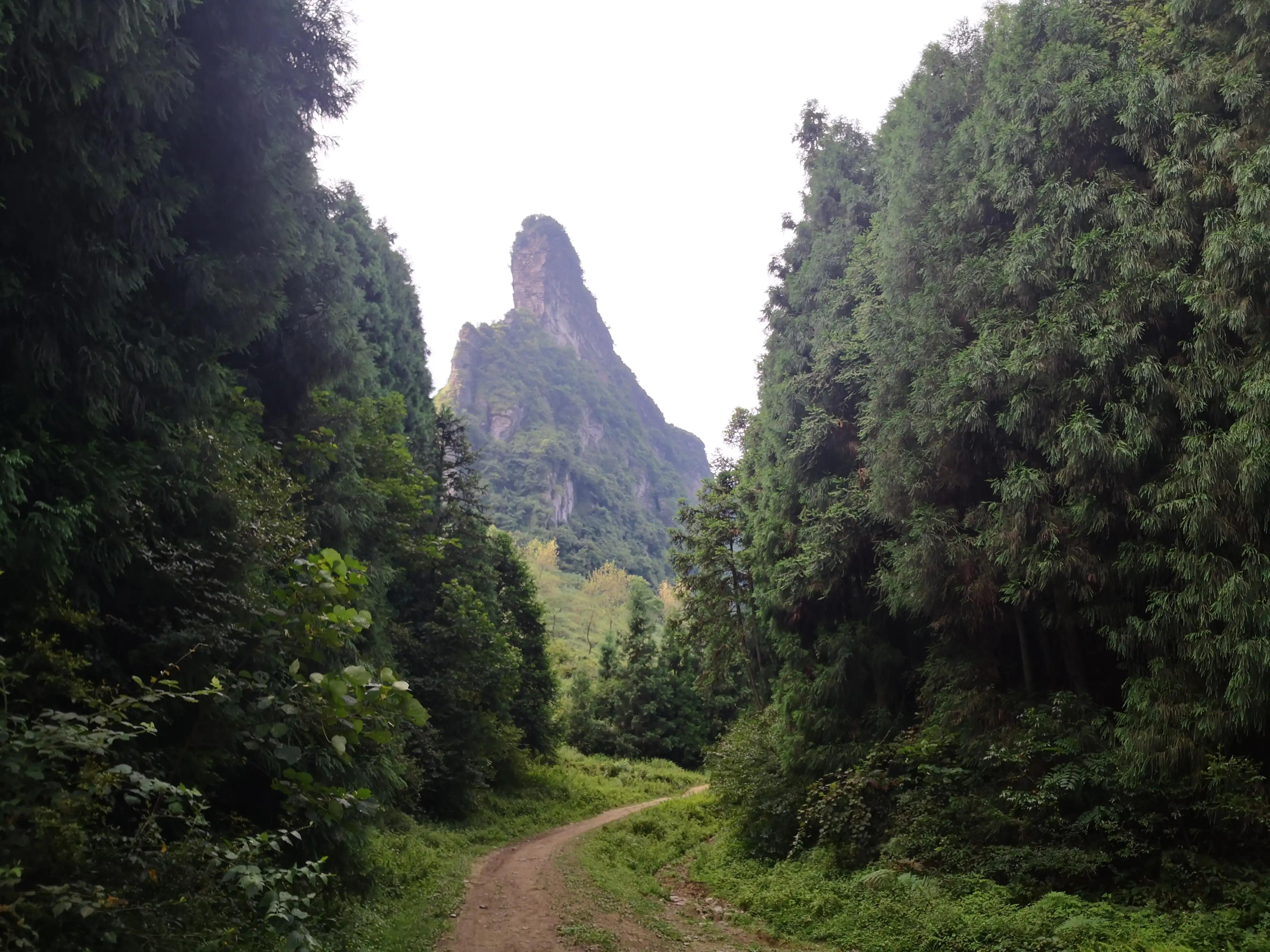 话到嘴边留三分，别把底牌露出来