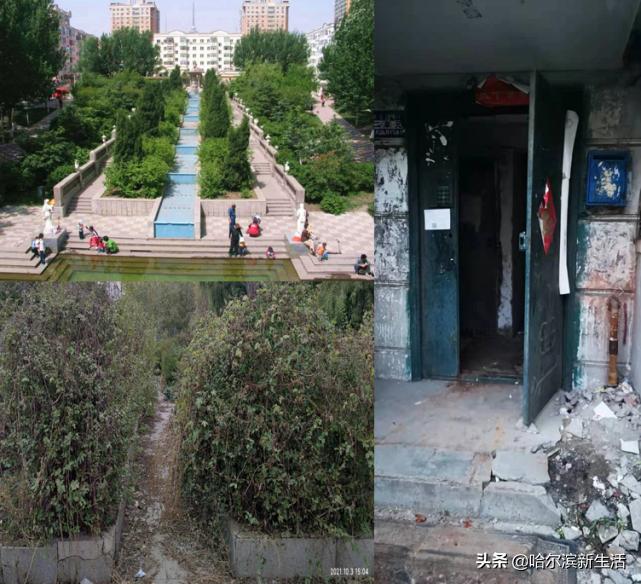 哈尔滨曾经的高端小区,哈尔滨曾经的示范小区
