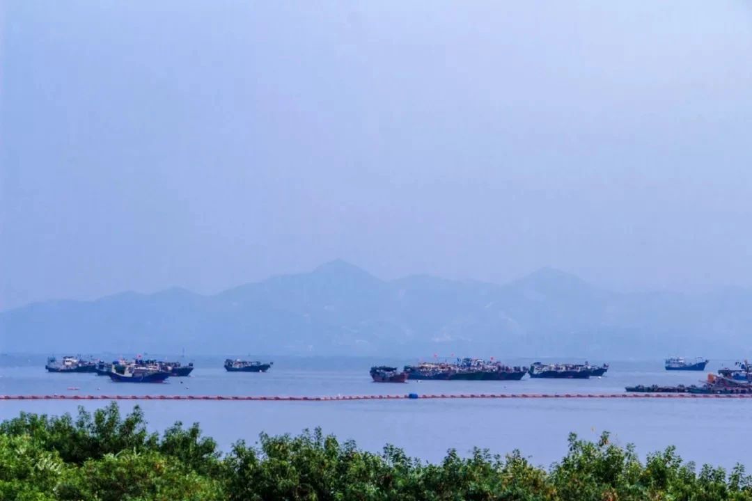 深圳二号线沿线有哪些景点游玩,深圳9号线沿途好玩的地方推荐