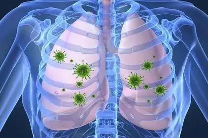 益生菌与免疫疾病,益生菌和流感病毒