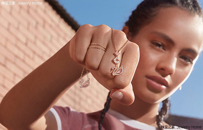 整箱梵克雅宝胸针,梵克雅宝胸针基本款