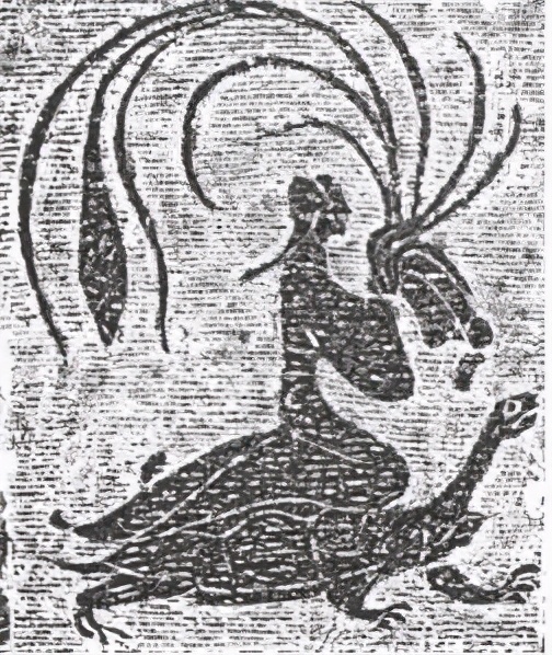 乌龟从神兽到王八,记录我们家小神兽成长历程