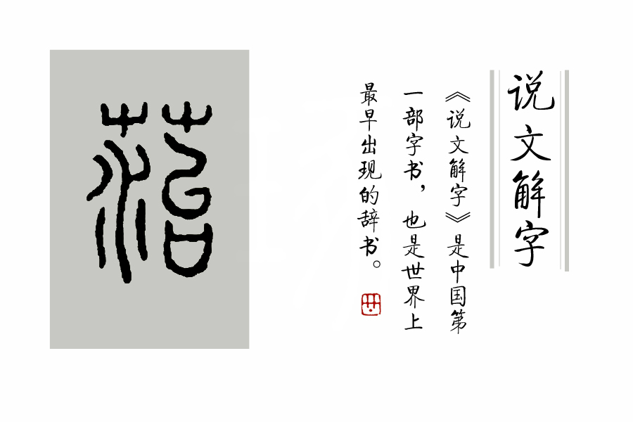 汉字说：“萌”和“芽”的区别是什么？
