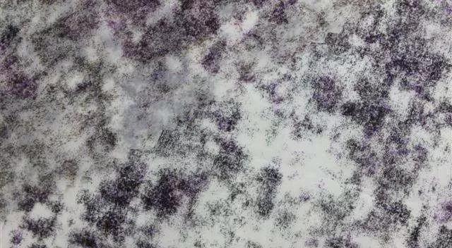 科普服装知识,面料科普知识视频模板