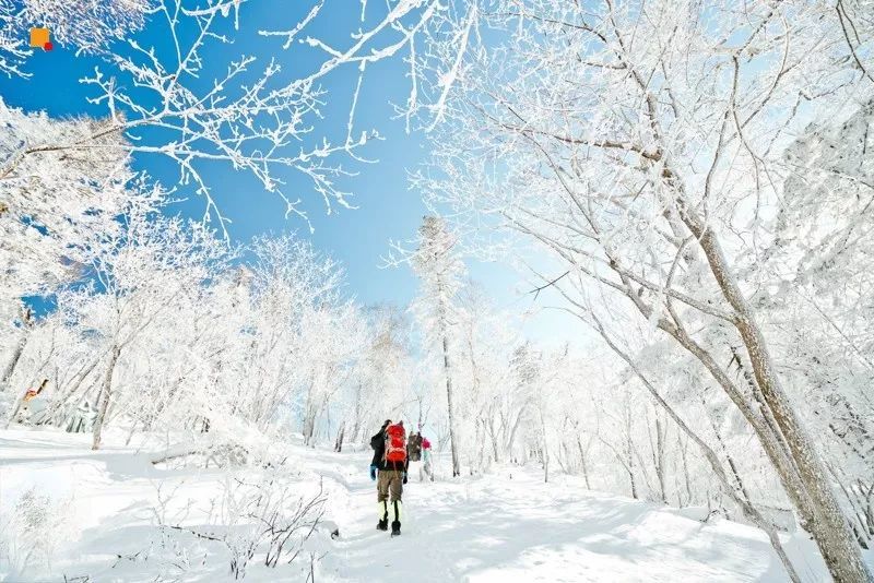 2016雪乡冰雪马拉松暨徒步穿越赛,2019长春全国冰雪徒步大会