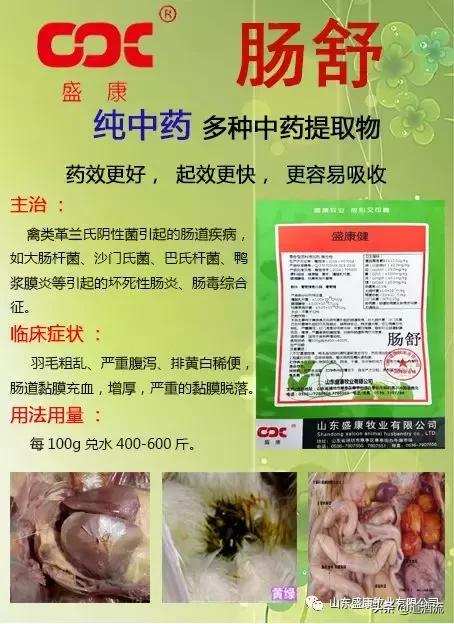 养鸭子要预防哪几种病情,怎么判断鸭病最简单方法