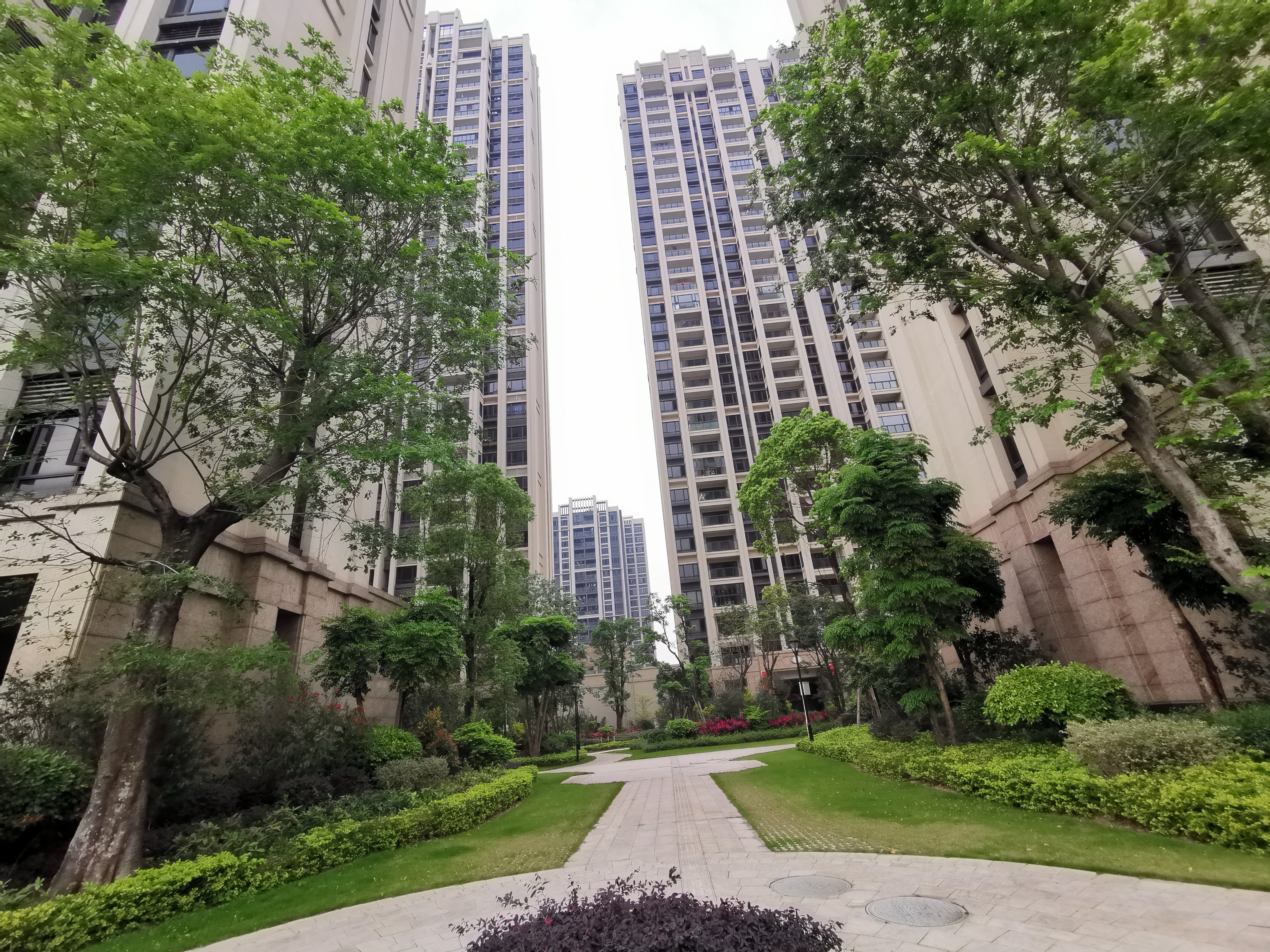 怡翠尊堤新楼盘,怡翠尊堤江景大城