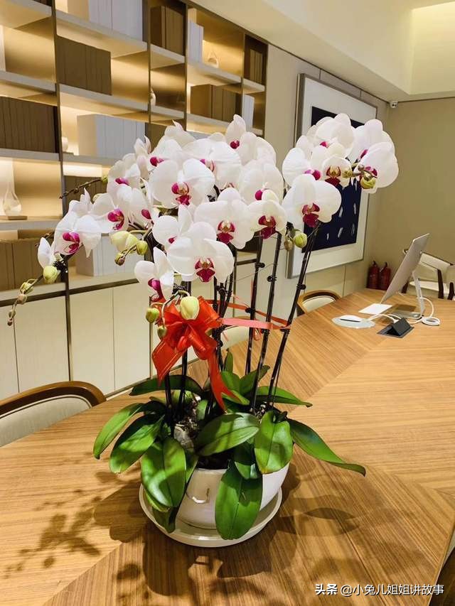 通州特色幼儿园,通州区通州幼儿园