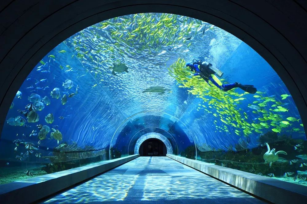 三亚的顶级酒店推荐,三亚顶级的酒店推荐