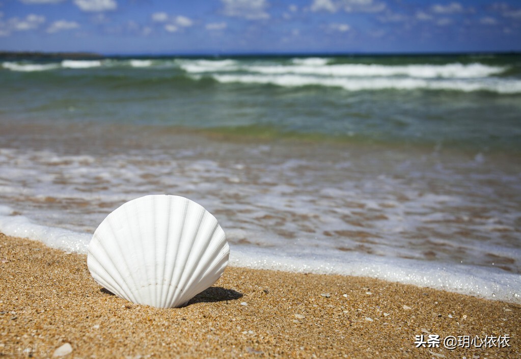 梦中小屋的安妮正版,梦中小屋的安妮书籍
