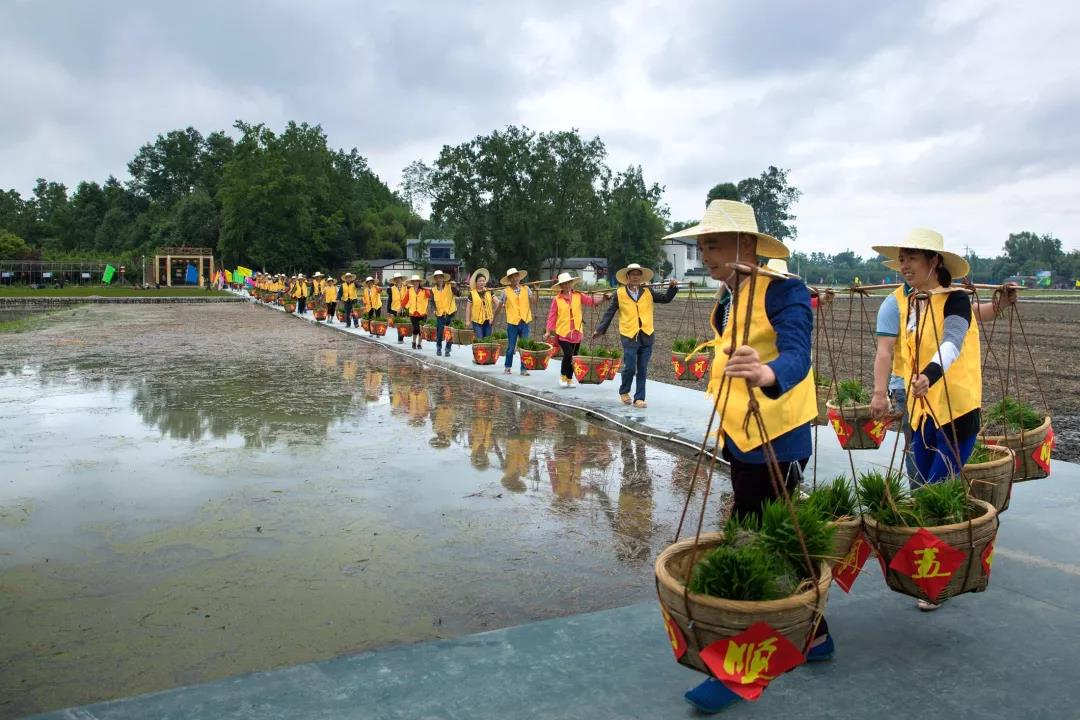 成都周边田园旅游攻略,成都冬季最理想的旅游线路