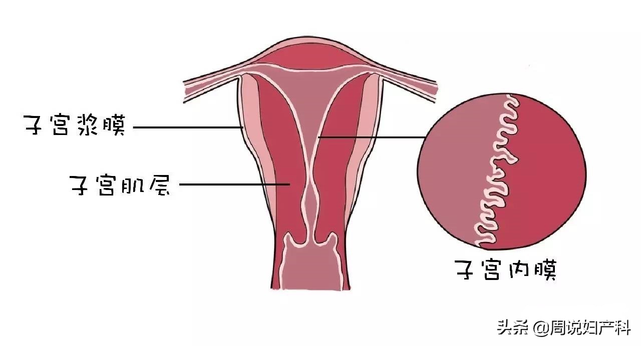 月经没来小肚子胀恶心怎么回事,月经不来小肚子不舒服吃点啥药