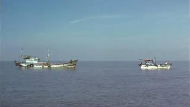 图解电影《弓》,从未见过如此独特的少女*处破**方式