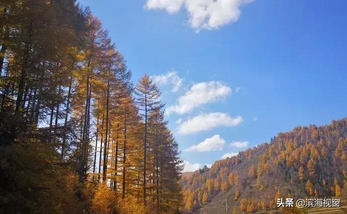 天津周边的旅游景点推荐一日游,天津周边旅游一日游攻略大全