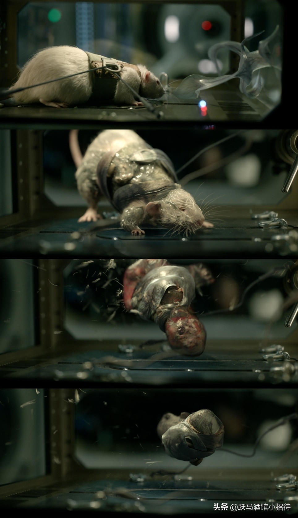 异星觉醒的其他结局,异星觉醒太空版结局