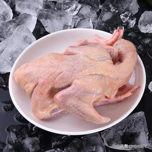 为什么杀鸽子用水淹,杀鸽子不放血的正确方法