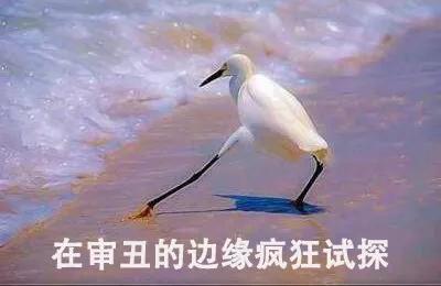 gucci这样的奢侈品牌,gucci奢侈品牌