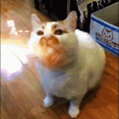 如何避免假货遍地开花,带你了解假货市场