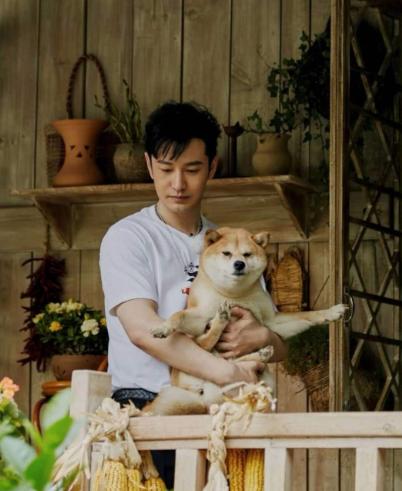 黄晓明和angelababy到底怎么样了,黄晓明和angelababy到底什么关系