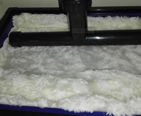 鱼缸绿水用什么比较好,怎样才能把鱼缸里的水养成嫩绿水