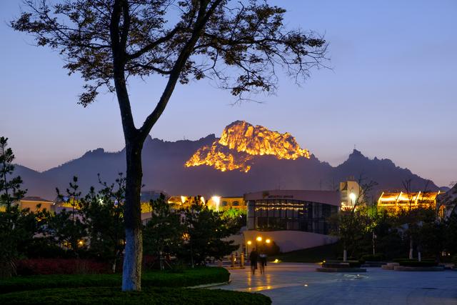 人生第一台微单相机，新手小白应该这样选择......