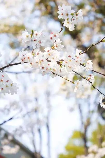 宁波地铁2号线附近游玩点,宁波地铁线旅游攻略