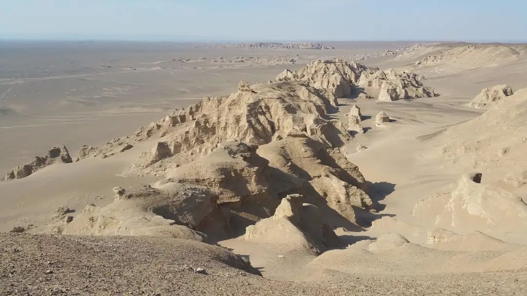 我国发现白垩纪恐龙,中国最先发现的恐龙新物种