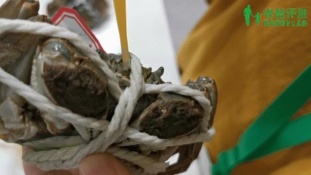 螃蟹死了怎么办最好,螃蟹怎么就死不了了